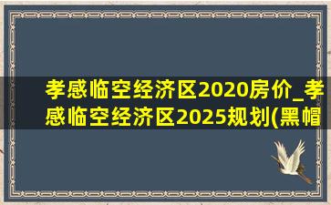 孝感临空经济区2020房价_孝感临空经济区2025规划(黑帽seo引流公司)