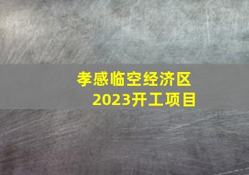 孝感临空经济区2023开工项目