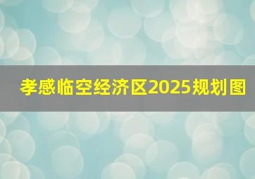孝感临空经济区2025规划图