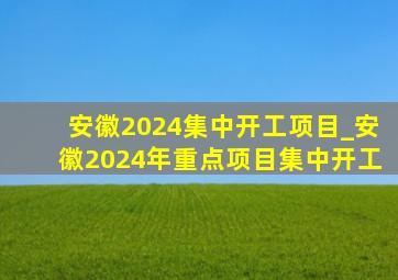 安徽2024集中开工项目_安徽2024年重点项目集中开工