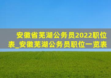 安徽省芜湖公务员2022职位表_安徽芜湖公务员职位一览表