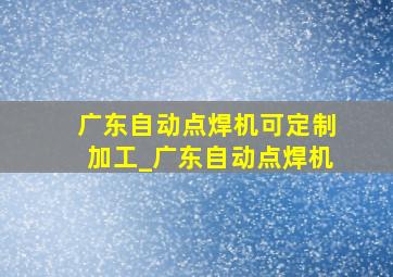 广东自动点焊机可定制加工_广东自动点焊机