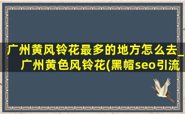 广州黄风铃花最多的地方怎么去_广州黄色风铃花(黑帽seo引流公司)的地方是哪里