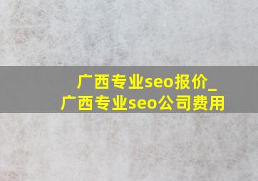 广西专业seo报价_广西专业seo公司费用