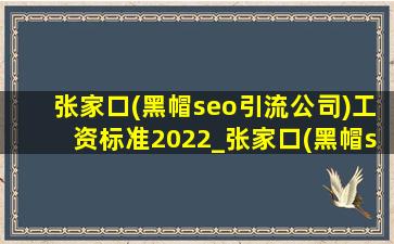 张家口(黑帽seo引流公司)工资标准2022_张家口(黑帽seo引流公司)工资标准2022年