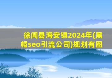 徐闻县海安镇2024年(黑帽seo引流公司)规划有图