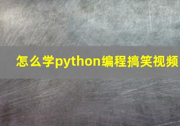 怎么学python编程搞笑视频
