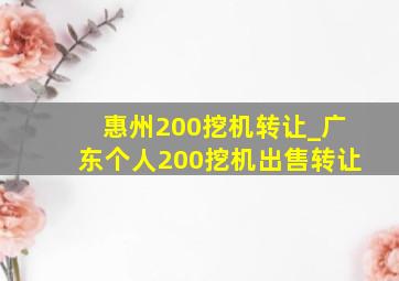 惠州200挖机转让_广东个人200挖机出售转让