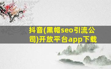 抖音(黑帽seo引流公司)开放平台app下载