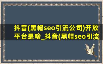 抖音(黑帽seo引流公司)开放平台是啥_抖音(黑帽seo引流公司)开放平台验证码给别人安全吗