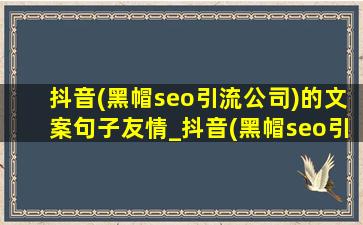 抖音(黑帽seo引流公司)的文案句子友情_抖音(黑帽seo引流公司)的文案句子2022