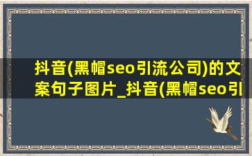 抖音(黑帽seo引流公司)的文案句子图片_抖音(黑帽seo引流公司)的文案句子2022
