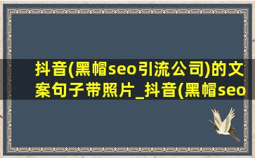 抖音(黑帽seo引流公司)的文案句子带照片_抖音(黑帽seo引流公司)的文案句子图片