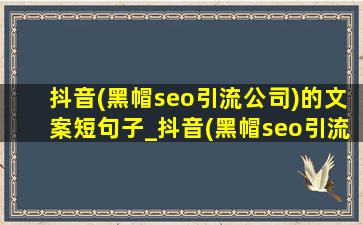 抖音(黑帽seo引流公司)的文案短句子_抖音(黑帽seo引流公司)的文案视频