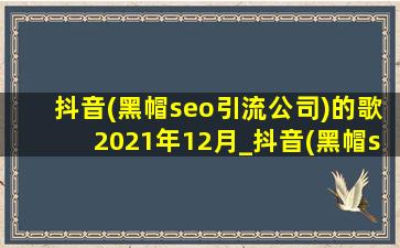 抖音(黑帽seo引流公司)的歌2021年12月_抖音(黑帽seo引流公司)的歌2021年流行歌曲