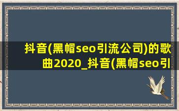 抖音(黑帽seo引流公司)的歌曲2020_抖音(黑帽seo引流公司)的歌曲2020dj