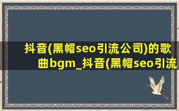 抖音(黑帽seo引流公司)的歌曲bgm_抖音(黑帽seo引流公司)的歌曲bgm完整