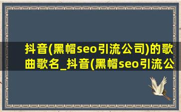 抖音(黑帽seo引流公司)的歌曲歌名_抖音(黑帽seo引流公司)的歌曲歌名2020