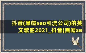 抖音(黑帽seo引流公司)的英文歌曲2021_抖音(黑帽seo引流公司)的英文歌曲2022