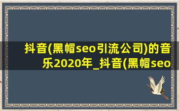 抖音(黑帽seo引流公司)的音乐2020年_抖音(黑帽seo引流公司)的音乐2020流行歌曲