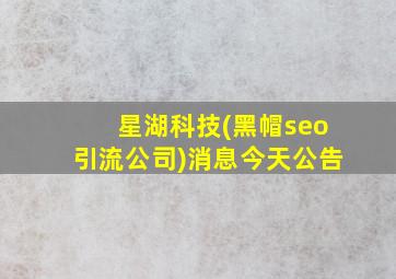 星湖科技(黑帽seo引流公司)消息今天公告