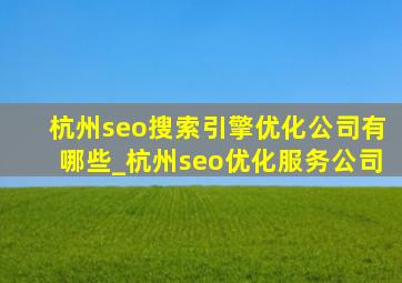杭州seo搜索引擎优化公司有哪些_杭州seo优化服务公司