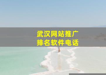 武汉网站推广排名软件电话
