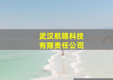 武汉航锦科技有限责任公司