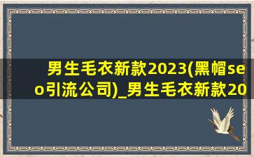 男生毛衣新款2023(黑帽seo引流公司)_男生毛衣新款2023(黑帽seo引流公司)高中学生
