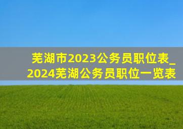 芜湖市2023公务员职位表_2024芜湖公务员职位一览表