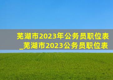 芜湖市2023年公务员职位表_芜湖市2023公务员职位表