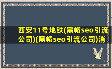 西安11号地铁(黑帽seo引流公司)(黑帽seo引流公司)消息
