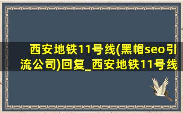 西安地铁11号线(黑帽seo引流公司)回复_西安地铁11号线(黑帽seo引流公司)消息批复