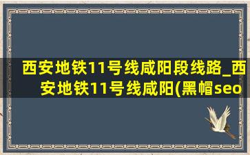 西安地铁11号线咸阳段线路_西安地铁11号线咸阳(黑帽seo引流公司)规划