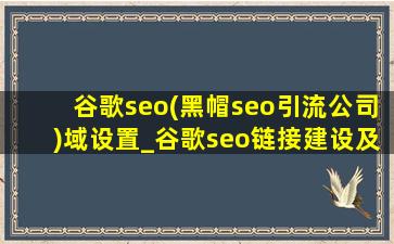 谷歌seo(黑帽seo引流公司)域设置_谷歌seo链接建设及优化全攻略