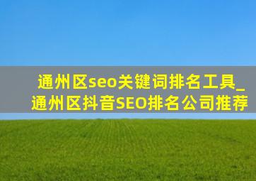 通州区seo关键词排名工具_通州区抖音SEO排名公司推荐