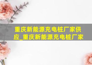 重庆新能源充电桩厂家供应_重庆新能源充电桩厂家