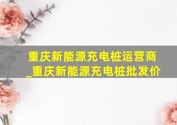 重庆新能源充电桩运营商_重庆新能源充电桩批发价