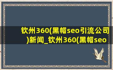 钦州360(黑帽seo引流公司)新闻_钦州360(黑帽seo引流公司)新闻今日