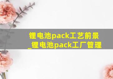 锂电池pack工艺前景_锂电池pack工厂管理