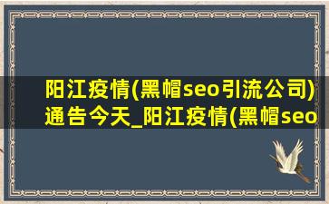 阳江疫情(黑帽seo引流公司)通告今天_阳江疫情(黑帽seo引流公司)通告今天的消息