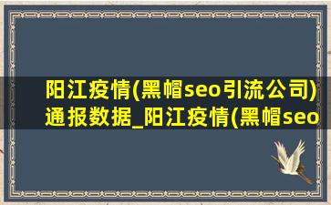 阳江疫情(黑帽seo引流公司)通报数据_阳江疫情(黑帽seo引流公司)通报视频
