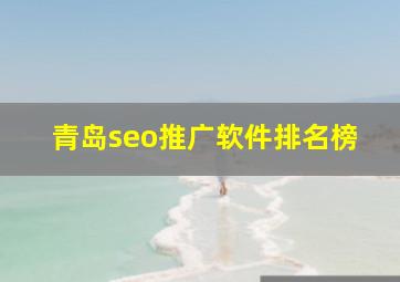青岛seo推广软件排名榜