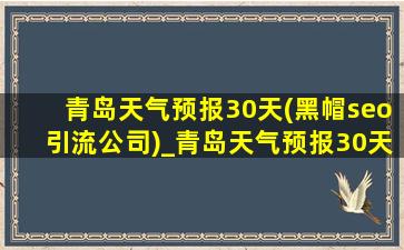 青岛天气预报30天(黑帽seo引流公司)_青岛天气预报30天(黑帽seo引流公司)消息
