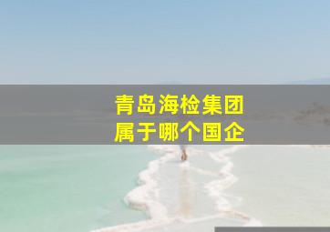 青岛海检集团属于哪个国企