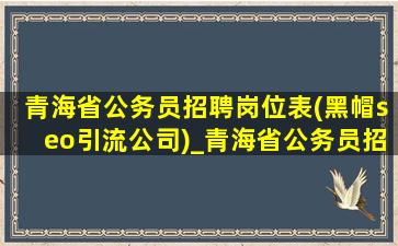青海省公务员招聘岗位表(黑帽seo引流公司)_青海省公务员招聘岗位表