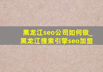 黑龙江seo公司如何做_黑龙江搜索引擎seo加盟